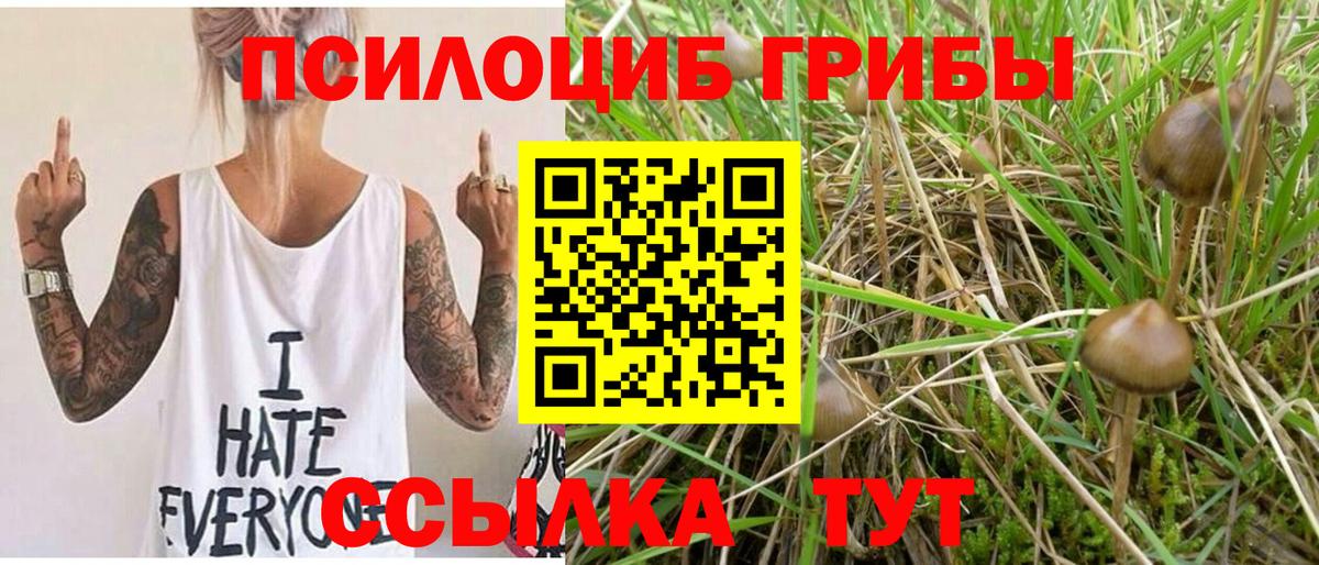 Alpha PVP Каменка